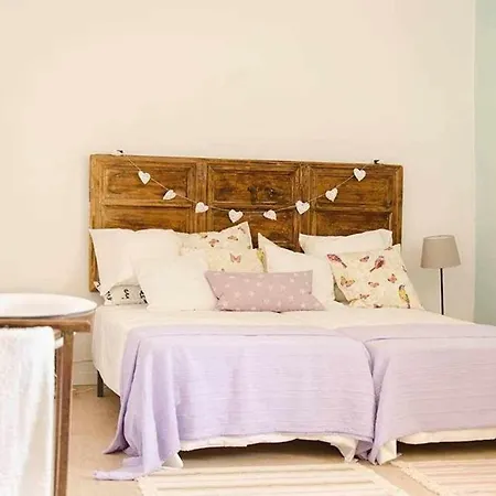 Periquina Con Encanto